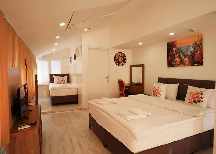 Zeugma Sultanahmet מלון